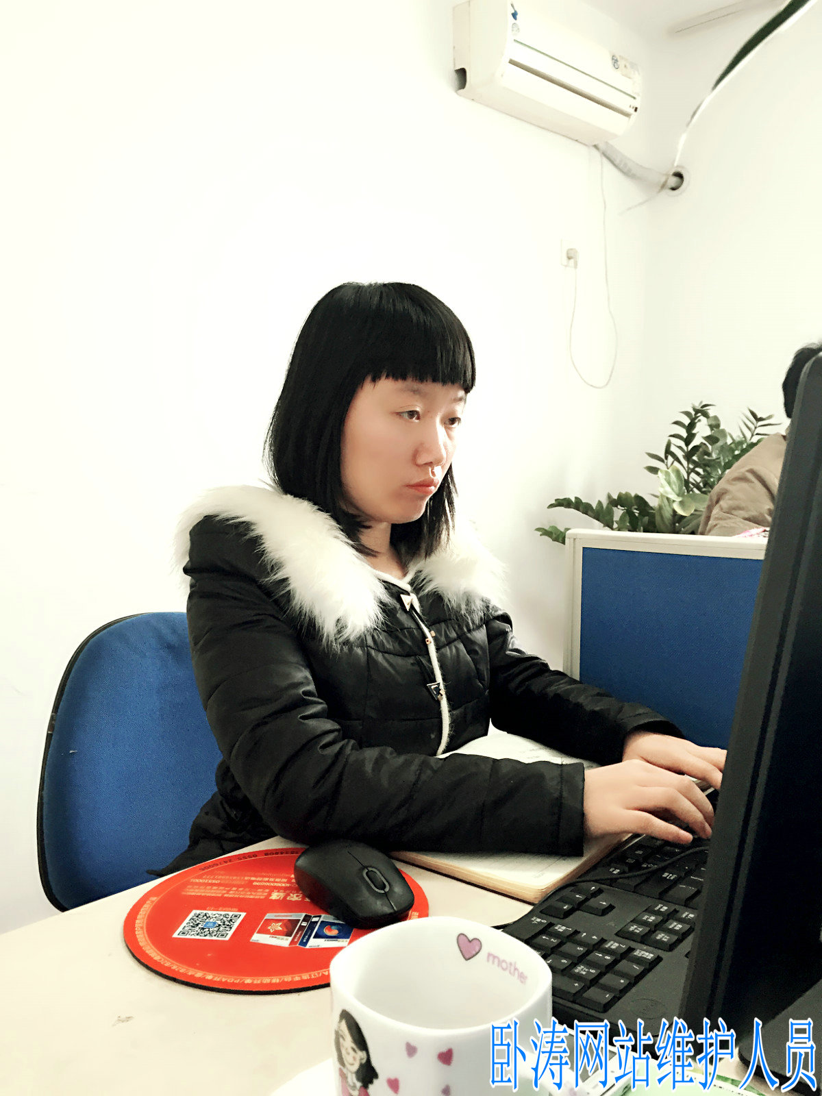 安徽臥濤風采-網(wǎng)站維護人員